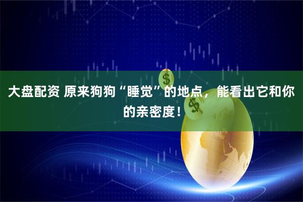 大盘配资 原来狗狗“睡觉”的地点，能看出它和你的亲密度！